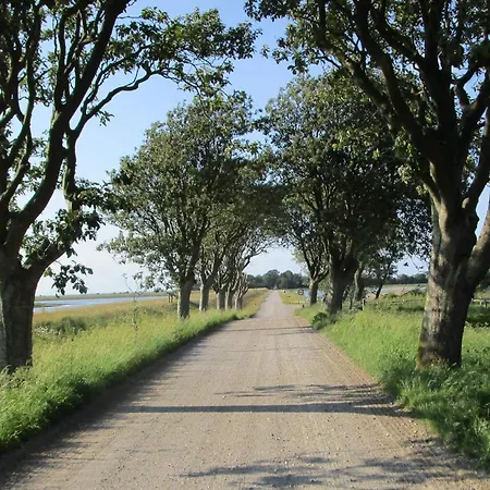 4 Person In Bogense-by Traum Apartamento