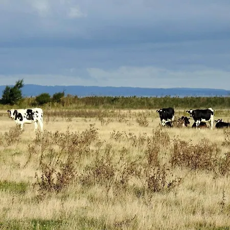4 Person In Bogense-by Traum Богенсе