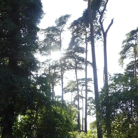 4 Person In Bogense-by Traum Апартаменты *