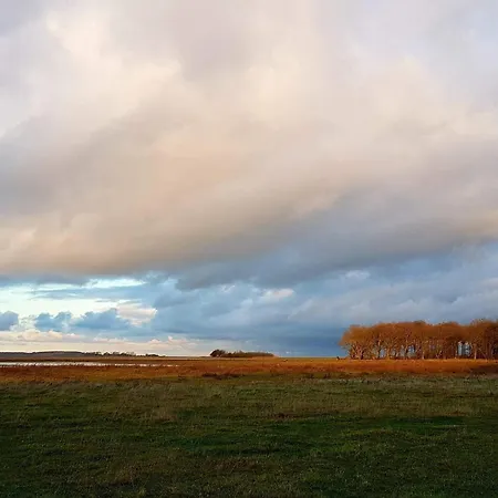 4 Person In Bogense-by Traum Apartamento *