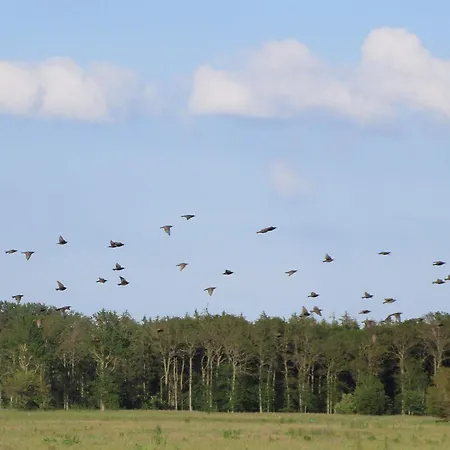 4 Person In Bogense-by Traum Apartamento *