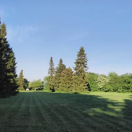 4 Person In Bogense-by Traum