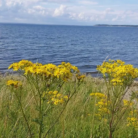 4 Person In Bogense-by Traum Apartamento Bogense